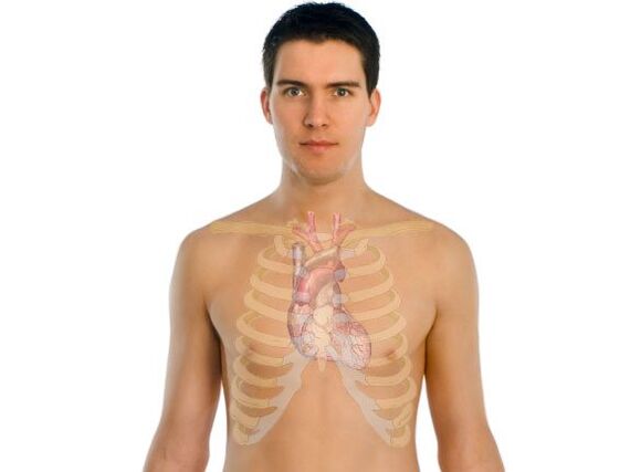 kuidas parasiidid inimorganeid mõjutavad