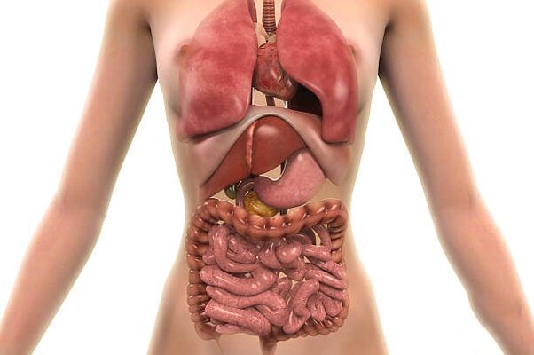 parasiidid inimkehas